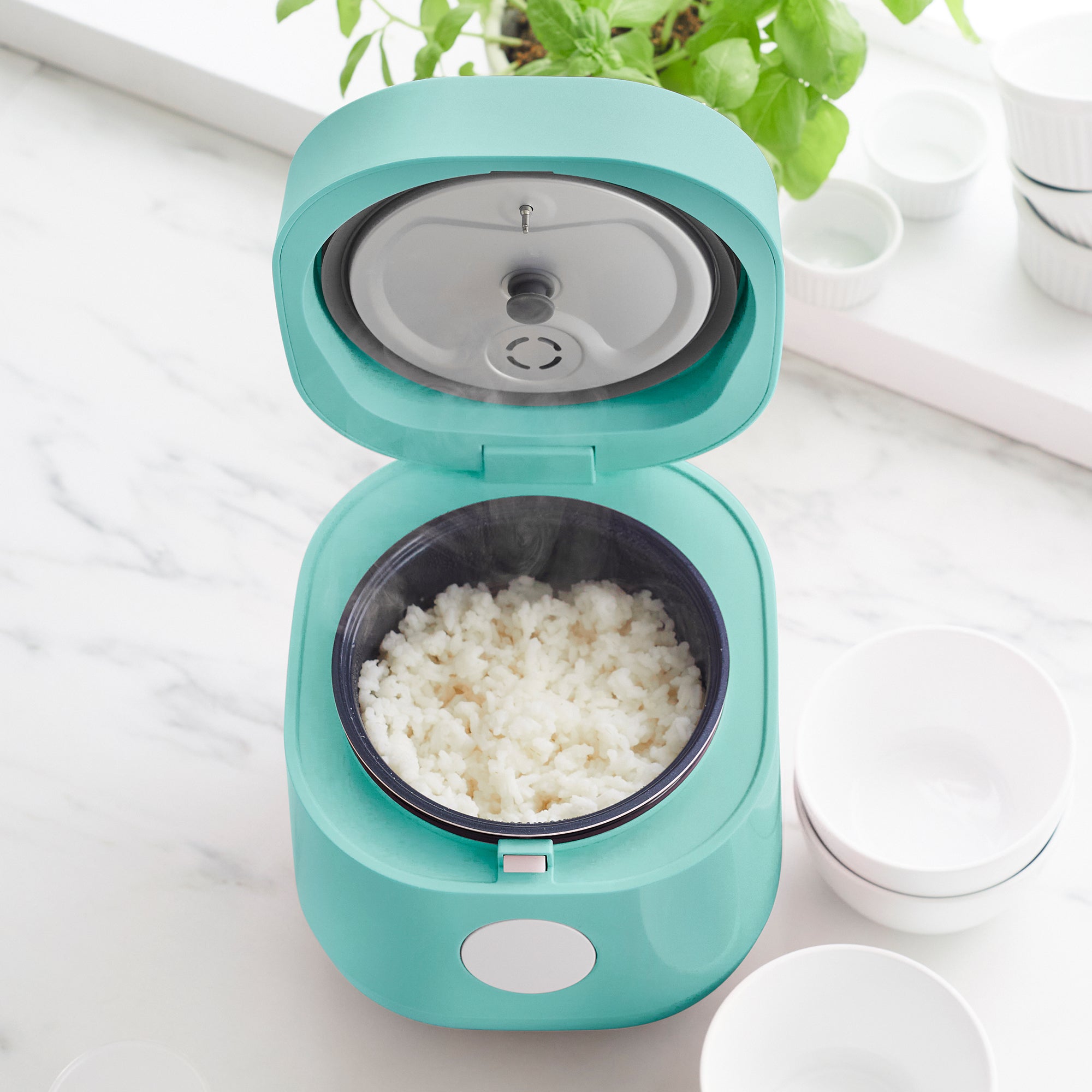 The Ultimate GreenLife Rice Cooker Review - Trusted Cookware